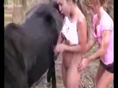A strong horse pecker joins horny lesbian beauties.